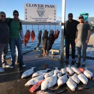 King Salmon Fishing Packages